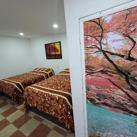 Hotel Vicalis San Juan Teotihuacán Exteriér fotografie