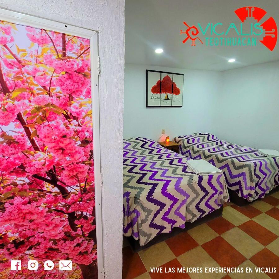 Hotel Vicalis San Juan Teotihuacán Exteriér fotografie